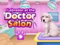Juego Labrador en el salón médico  en línea