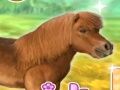 Juego Mi querido pony en línea Juego Mi querido pony en línea