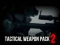 Juego Paquete de armas tácticas 2  en línea