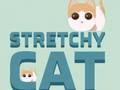 Juego Gato elástico  en línea