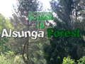Juego Regreso al Bosque de Alsunga  en línea