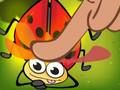 Juego Cush de insectos  en línea