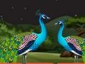 Juego Escape de loros en pareja  en línea