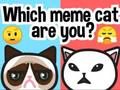 Juego ¿Qué gato meme eres?  en línea