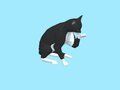 Juego Cat Escape: Juega gato hambriento  en línea