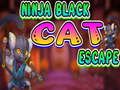 Juego Escape del gato negro ninja  en línea