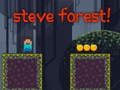 Juego Steve bosque  en línea