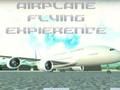 Juego Experiencia de vuelo en avión  en línea