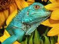 Juego Rompecabezas definitivos Animales 6  en línea