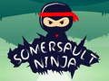 Juego Salto mortal ninja  en línea