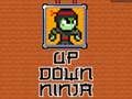 Juego Arriba abajo ninja  en línea