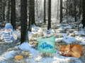 Juego Aventura en el bosque del país de las maravillas invernal  en línea