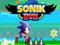 Juego Ejecutar sonik  en línea
