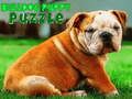 Juego Rompecabezas de Cachorro Bulldog  en línea