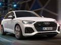 Juego Diapositiva Audi SQ5 TDI  en línea