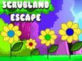 Juego Escape de matorral  en línea