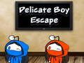Juego Escape de chico delicado  en línea