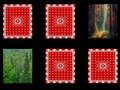 Juego Memoria del bosque  en línea