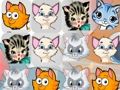 Juego Gatitos Match3  en línea