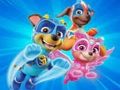 Juego Libro para colorear para la Patrulla Canina  en línea
