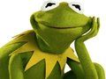 Juego Libro para colorear para la rana Kermit  en línea