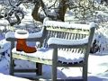 Juego Escapar de la Navidad del jardín  en línea