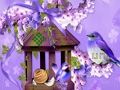 Juego Maravilloso Humming Bird Land Escape  en línea