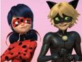 Juego Rompecabezas de Miraculous Ladybug y Cat Noir  en línea