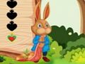 Juego Escape de la ardilla  en línea