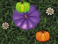 Juego Coincidencia de color de calabaza  en línea