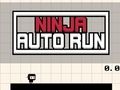 Juego Ejecución automática ninja  en línea