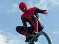 Juego Guerrero araña  en línea