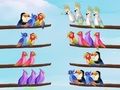 Juego Rompecabezas de clasificación de aves  en línea