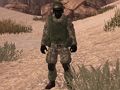Juego Soldado de la Patria: Sahara  en línea