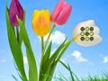 Juego Escape del césped de flores  en línea