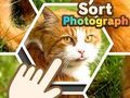 Juego Ordenar fotografía  en línea