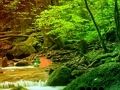 Juego Escape pacífico del bosque arcoíris  en línea