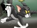 Juego Tom y Jerry Chase en Marsh  en línea