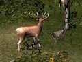 Juego Francotirador caza mortal animal  en línea