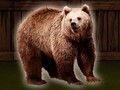 Juego Salva al oso grizzly  en línea