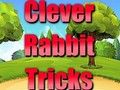 Juego Trucos inteligentes para el conejo  en línea