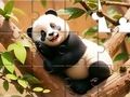 Juego Rompecabezas: Panda en un árbol  en línea