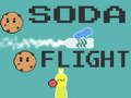 Juego Vuelo de refresco  en línea