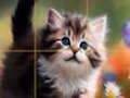 Juego Puzzle Gatitos Deslizantes  en línea