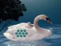 Juego Salvar a la madre cisne  en línea