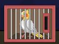 Juego Libera al pájaro cacatúa  en línea