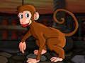 Juego Escape del diminuto macaco  en línea