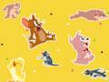 Juego El show de Tom y Jerry ¡Encuéntralo!  en línea
