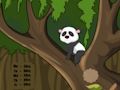 Juego Escape de la jungla panda  en línea