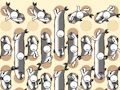 Juego Recolección de peces  en línea